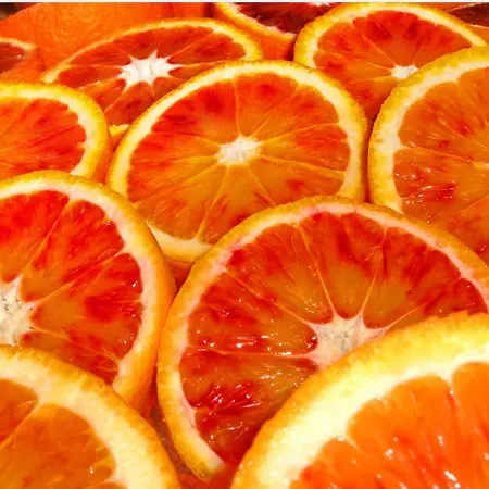 Zeus - Finestra Sul Vaticano רומא