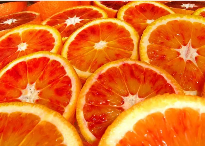 Zeus - Finestra Sul Vaticano רומא