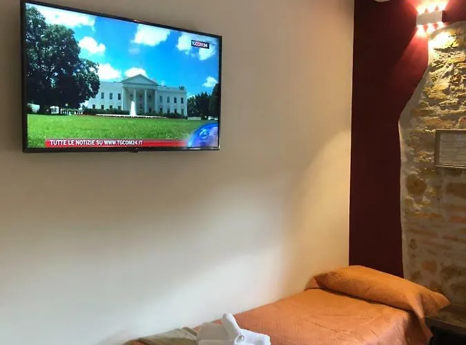 Zeus - Finestra Sul Vaticano